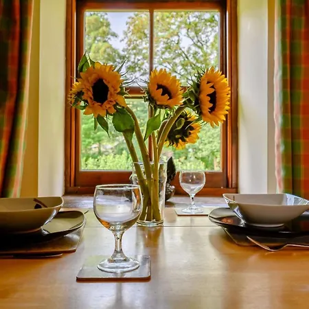 1 Bed In 88201 Tatil Evi